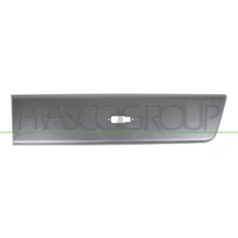Baguette et bande protectrice, porte arrière gauche PRASCO OEM 735438350