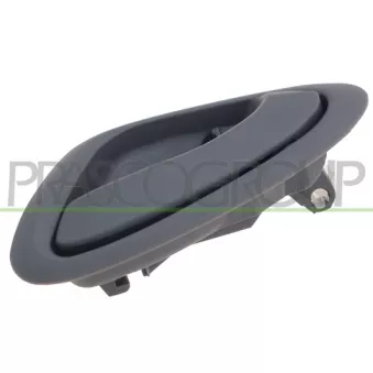 Poignet de porte, équipment intérieur avant droit PRASCO HD3208607
