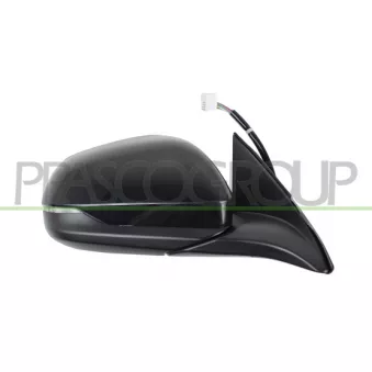 Rétroviseur extérieur PRASCO HD8047345