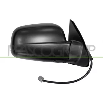 Rétroviseur extérieur PRASCO HD8247203P