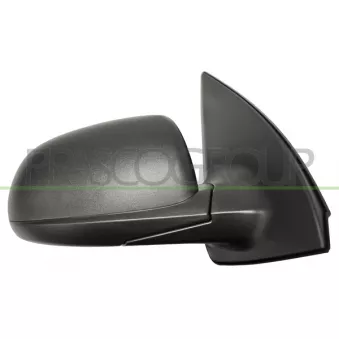 Rétroviseur extérieur PRASCO HN0037303P