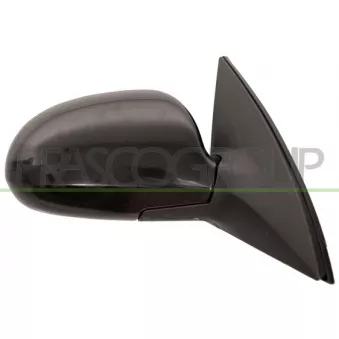 Rétroviseur extérieur PRASCO OEM 876200L300CA