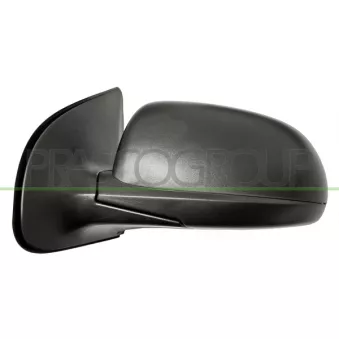 Rétroviseur extérieur PRASCO OEM 876101J200