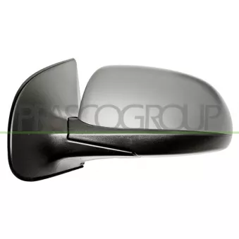 Rétroviseur extérieur PRASCO OEM 876101J300