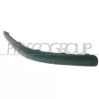 PRASCO HN3301243 - Baguette et bande protectrice, pare-chocs avant droit
