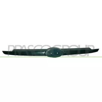 Grille de radiateur PRASCO [HN3302001OE]