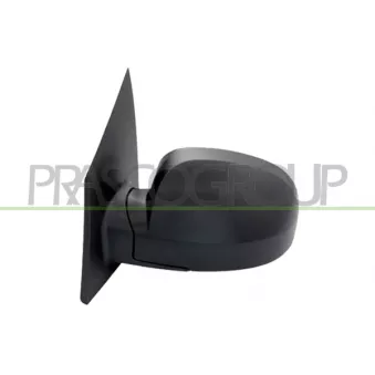 Rétroviseur extérieur PRASCO OEM 876101C310