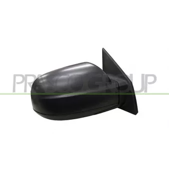 Rétroviseur extérieur PRASCO OEM 876202E510