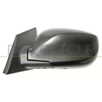 Rétroviseur extérieur PRASCO OEM 876102S350