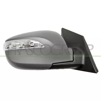 Rétroviseur extérieur PRASCO OEM 876202S390