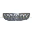 PRASCO HN8202001OE - Grille de radiateur