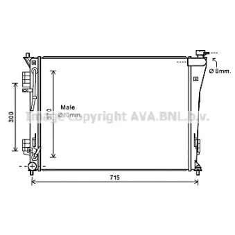 PRASCO HY2306 - Radiateur, refroidissement du moteur