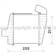 Intercooler, échangeur PRASCO [HY4388]