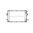Radiateur, refroidissement du moteur PRASCO [IV2028]