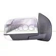 PRASCO IZ8267105 - Rétroviseur extérieur