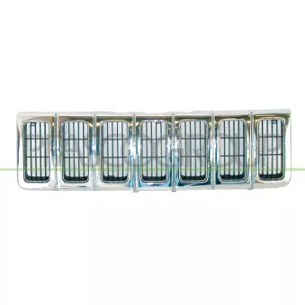 Grille de radiateur PRASCO JE0152011