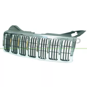 Grille de radiateur PRASCO JE0202011