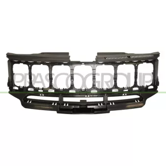 Grille de radiateur PRASCO JE0262001