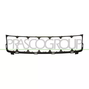 Grille de radiateur PRASCO JE0262216