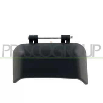 Poignée extérieure de porte arrière droit PRASCO JE0308101