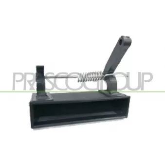 Poignée extérieure de porte PRASCO JE0308801
