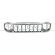 PRASCO JE1022011 - Grille de radiateur