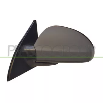 Rétroviseur extérieur PRASCO OEM 876051H160