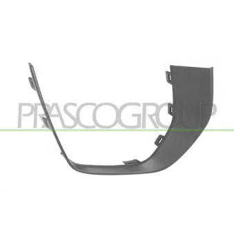 Baguette et bande protectrice, grille de radiateur PRASCO OEM LR079387 Baguette et bande protectrice, grille de radiateur PRASCO OEM LR079387
