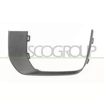 Baguette et bande protectrice, grille de radiateur PRASCO OEM LR079374 Baguette et bande protectrice, grille de radiateur PRASCO OEM LR079374