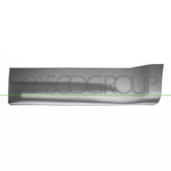 Baguette et bande protectrice, porte arrière gauche PRASCO LR8021452