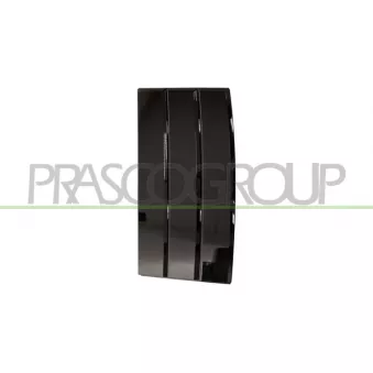 Baguette et bande protectrice, porte avant droit PRASCO LR8661413