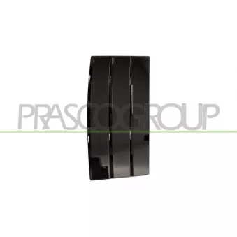 Baguette et bande protectrice, porte avant gauche PRASCO LR8661414