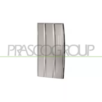 Baguette et bande protectrice, porte avant droit PRASCO LR8661423