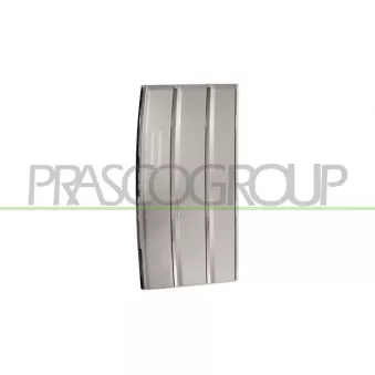Baguette et bande protectrice, porte avant gauche PRASCO LR8661424