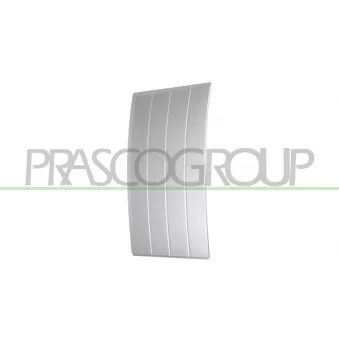 Baguette et bande protectrice, porte avant gauche PRASCO LR8681404
