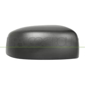 Revêtement, rétroviseur extérieur PRASCO MB1007403