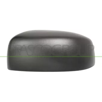 Revêtement, rétroviseur extérieur PRASCO MB1007404