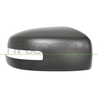 Revêtement, rétroviseur extérieur PRASCO MB1007413