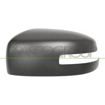 Revêtement, rétroviseur extérieur PRASCO MB1007414