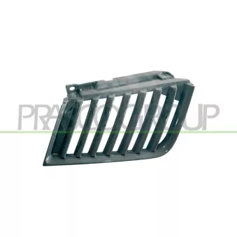 Grille de radiateur PRASCO MB8212003