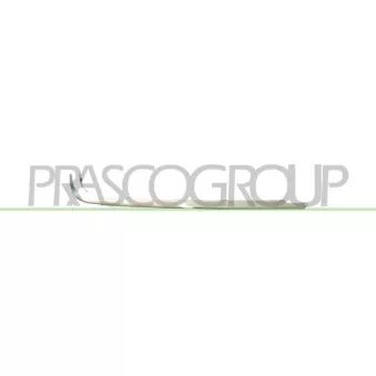 PRASCO ME0251253 - Baguette et bande protectrice, pare-chocs arrière droit