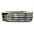 PRASCO ME0252000 - Grille de radiateur