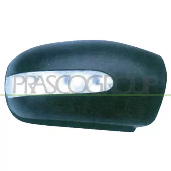 Revêtement, rétroviseur extérieur PRASCO OEM A20381104609999