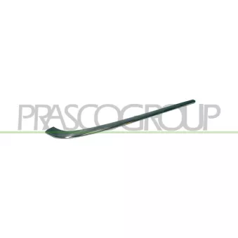 PRASCO ME0351253 - Baguette et bande protectrice, pare-chocs arrière droit