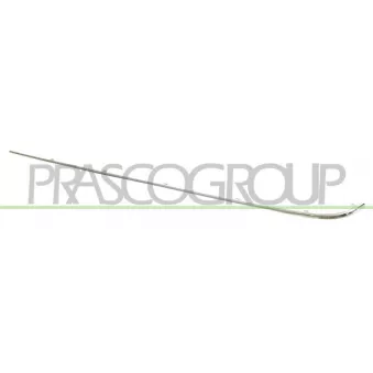 Baguette et bande protectrice, pare-chocs arrière droit PRASCO OEM A2108851474