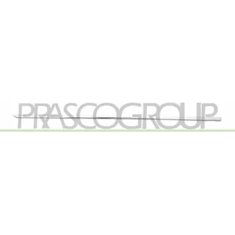 PRASCO ME0431454 - Baguette et bande protectrice, porte arrière gauche