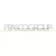 PRASCO ME0451404 - Baguette et bande protectrice, porte avant gauche