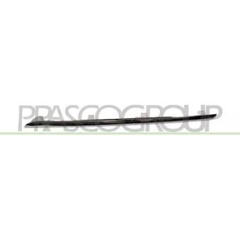 Baguette et bande protectrice, grille de radiateur PRASCO ME0452214