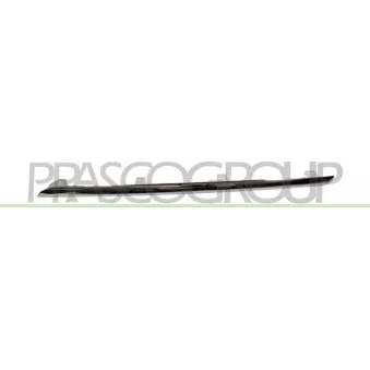 Baguette et bande protectrice, grille de radiateur PRASCO OEM A2128852321 Baguette et bande protectrice, grille de radiateur PRASCO OEM A2128852321