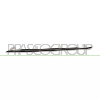 Baguette et bande protectrice, grille de radiateur PRASCO ME0452218